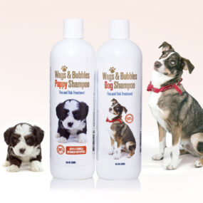 Wags & Bubbles